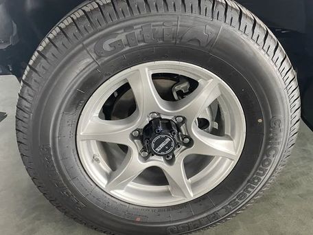 Dongfeng Rich, 2026 — photo 3