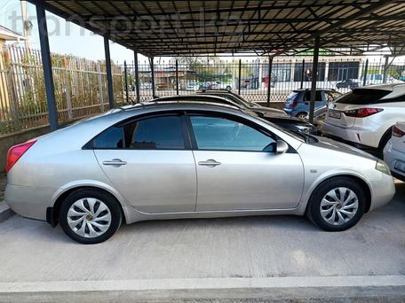 Nissan Primera, 2004 — photo 4