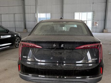 Hongqi E-QM5, 2021 — 照片 3
