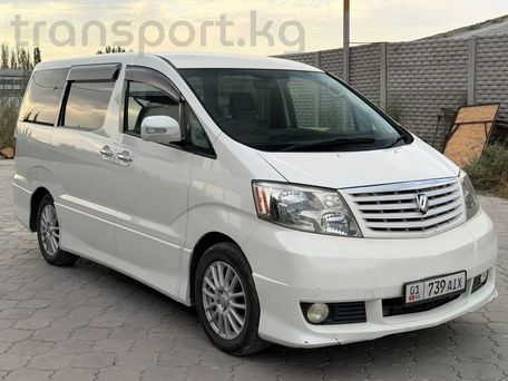 Toyota Alphard, 2003 — фото 3