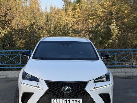 Lexus NX, 2019 — сүрөт 2