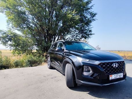 Hyundai Santa Fe, 2019 — фото 16