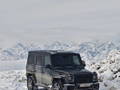 Mercedes-Benz G-Класс, 2003 — фото 2