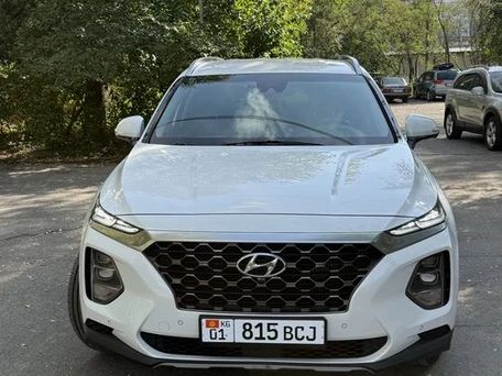 Hyundai Santa Fe, 2019 — фото 2