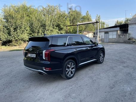 Hyundai Palisade, 2019 — 照片 5