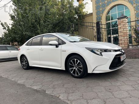 Toyota Levin, 2023 — 照片 1