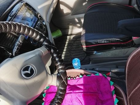 Mazda MPV, 2000 — photo 6