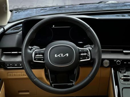 Kia Carnival, 2023 — photo 12