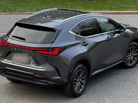 Lexus NX, 2021 — фото 10