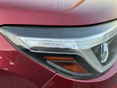 Subaru Forester, 2019 — photo 6