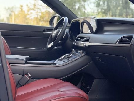 Hyundai Palisade, 2020 — сүрөт 12