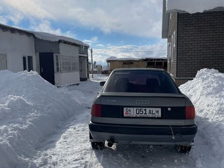 Audi 80, 1992 — 照片 5