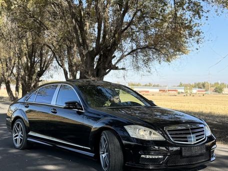 Mercedes-Benz S-Класс, 2009 — 照片 16