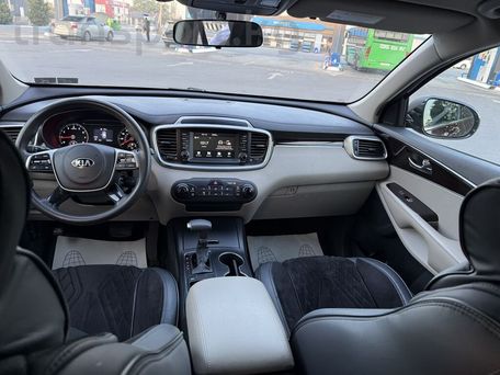 Kia Sorento, 2019 — фото 11