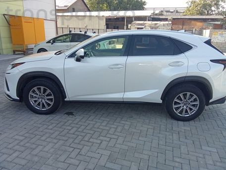Lexus NX, 2020 — фото 16