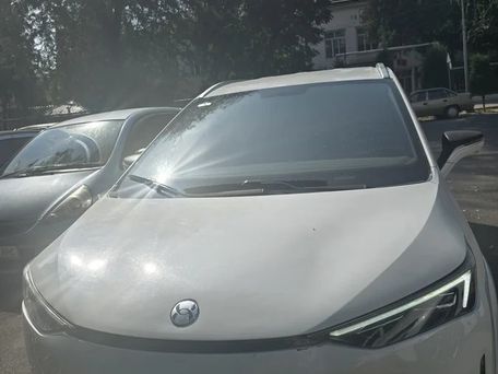 Hycan Z03, 2022
