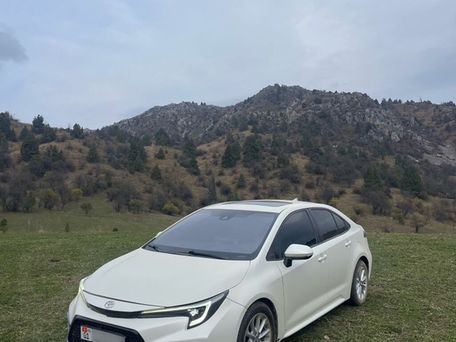 Toyota Corolla, 2020 — 照片 1