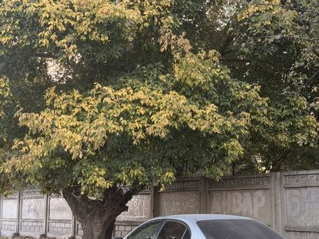 Toyota Avensis, 2002 — photo 8