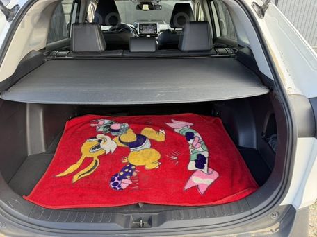 Toyota RAV4, 2020 — 照片 10