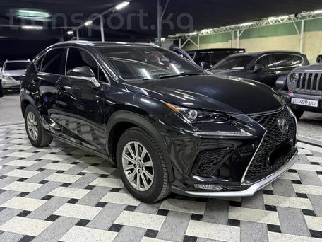 Lexus NX, 2019