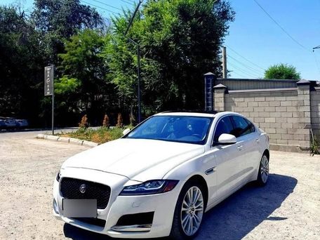 Jaguar XF, 2026 — фото 1