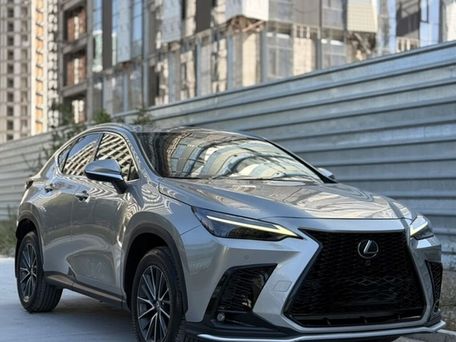Lexus NX, 2023 — фото 1