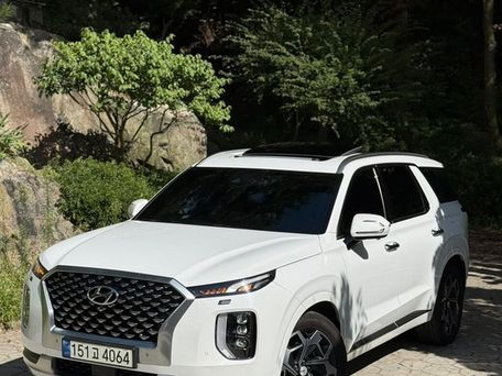 Hyundai Palisade, 2021