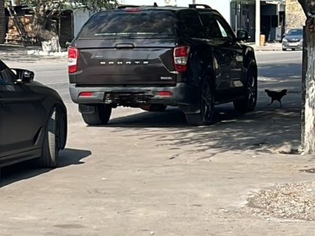 SsangYong Rexton Sports, 2018 — 照片 2