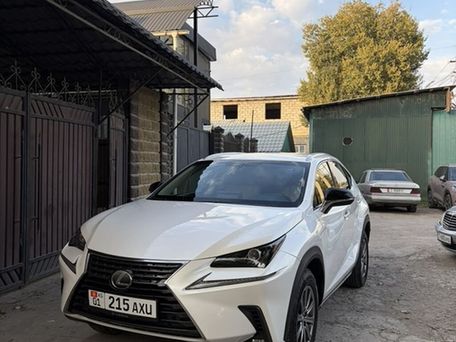 Lexus NX, 2018 — фото 1