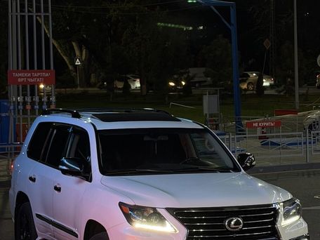 Lexus LX, 2009 — photo 1
