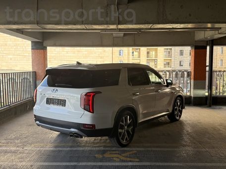 Hyundai Palisade, 2019 — фото 3