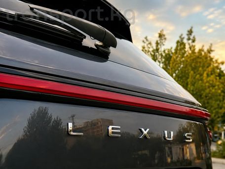 Lexus NX, 2023 — фото 7