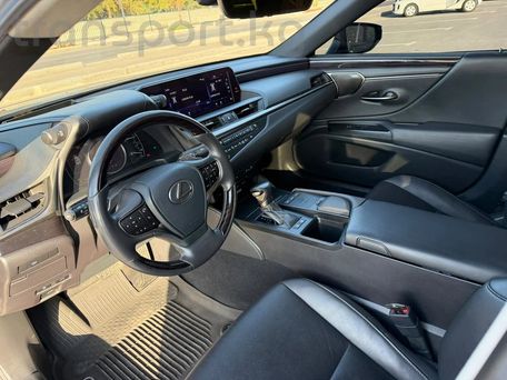 Lexus ES, 2019 — photo 10