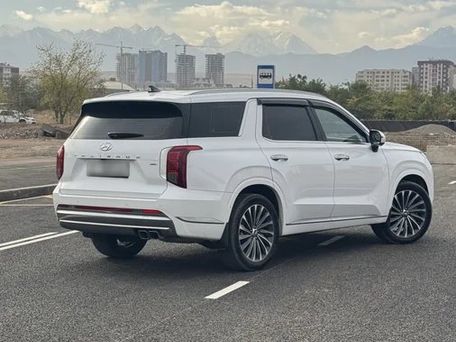 Hyundai Palisade, 2023 — фото 2