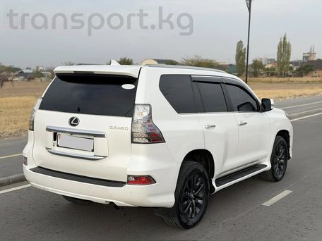 Lexus GX, 2020 — photo 6