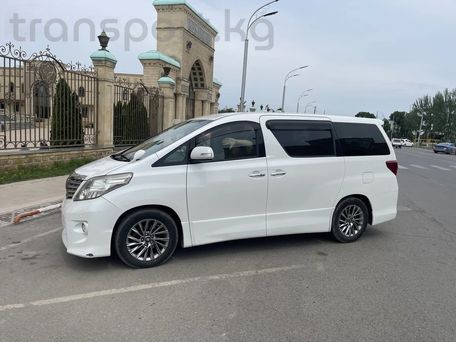 Toyota Alphard, 2008 — photo 1