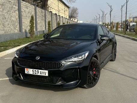 Kia Stinger, 2019 — photo 12