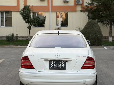Mercedes-Benz S-Класс, 2003 — 照片 5