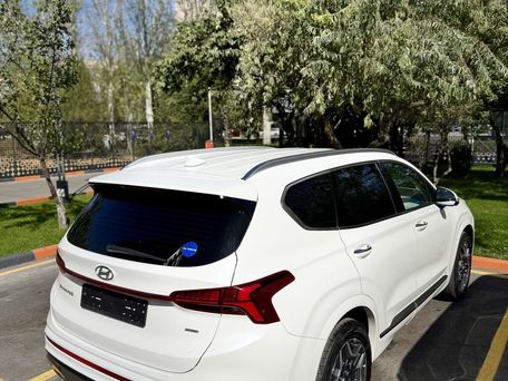 Hyundai Santa Fe, 2022 — сүрөт 7