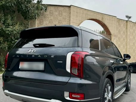 Hyundai Palisade, 2019 — 照片 8