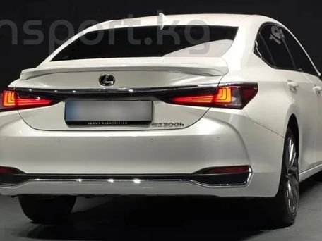 Lexus ES, 2023 — фото 10