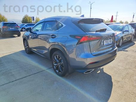 Lexus NX, 2020 — photo 3