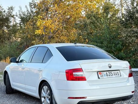 Skoda Octavia, 2017 — 照片 5