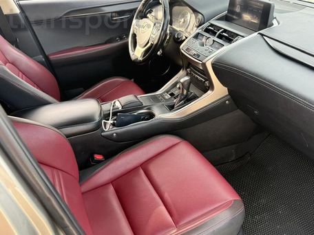 Lexus NX, 2017 — photo 4