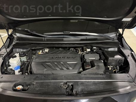 Kia Carnival, 2020 — сүрөт 19
