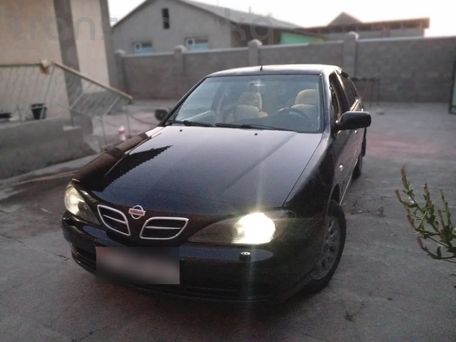 Nissan Primera, 2001 — photo 6
