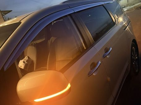 Kia Carnival, 2019 — фото 7
