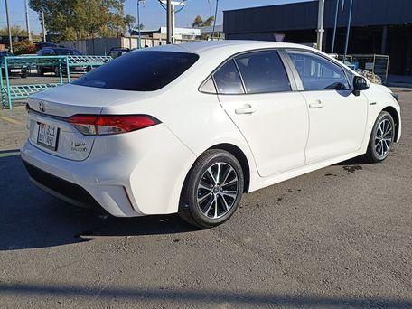 Toyota Levin, 2023 — сүрөт 6