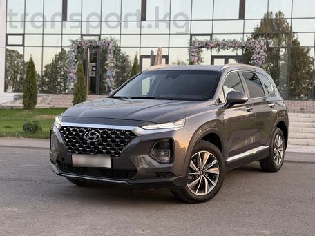 Hyundai Santa Fe, 2019 — фото 3