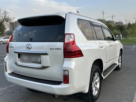 Lexus GX, 2010 — фото 3